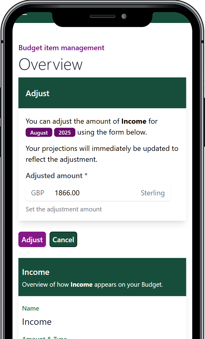 Options for getting started with Budget Pro