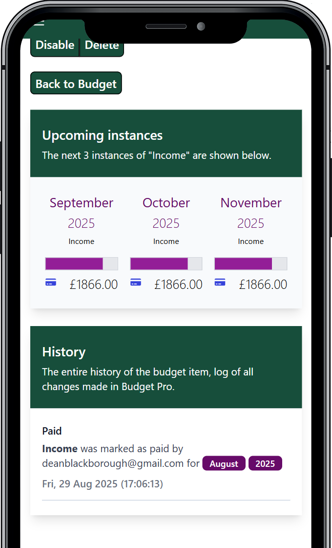 Options for getting started with Budget Pro