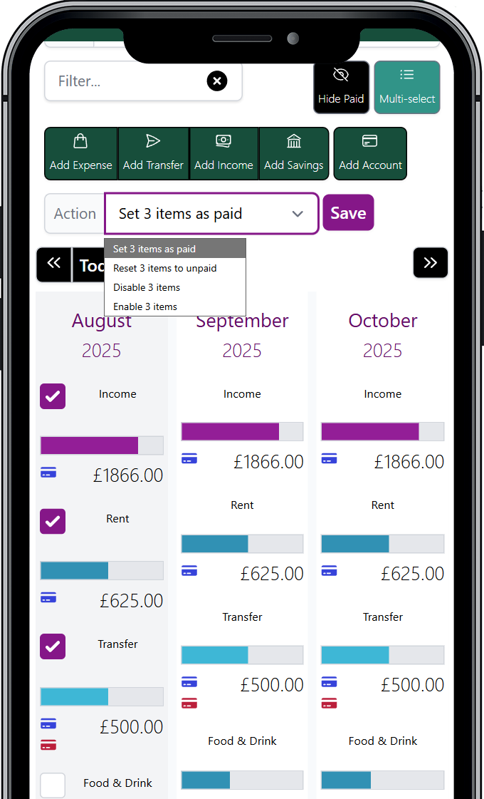 Options for getting started with Budget Pro
