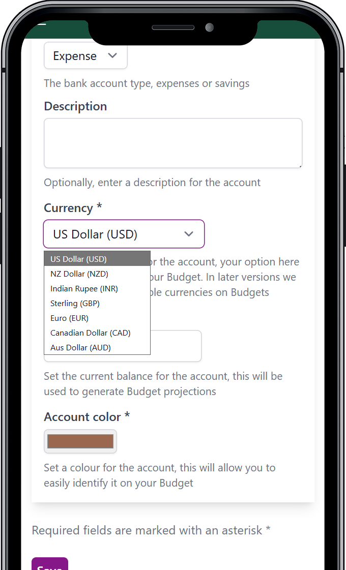 Options for getting started with Budget Pro