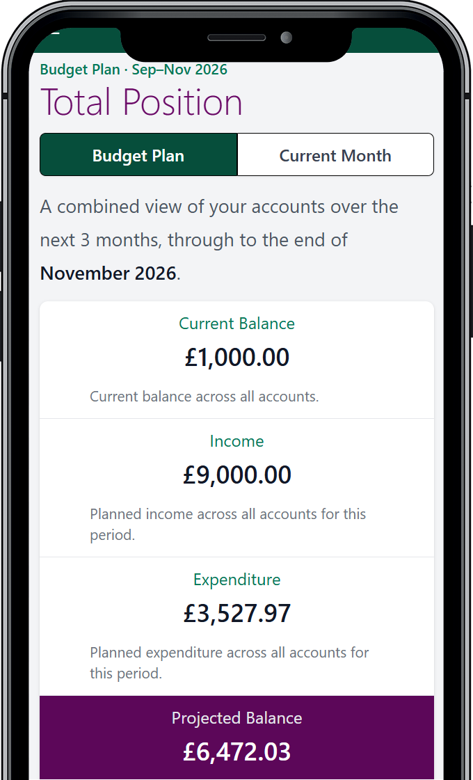 The Budget Pro plan showing six months side by side