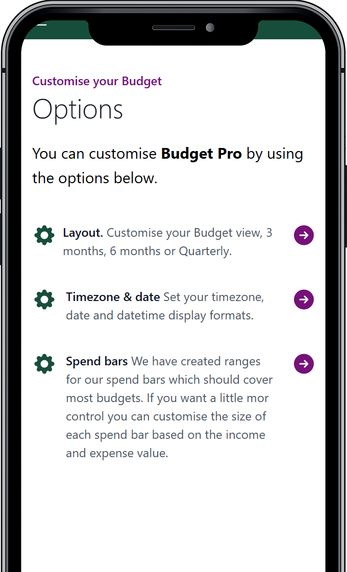 Options for getting started with Budget Pro
