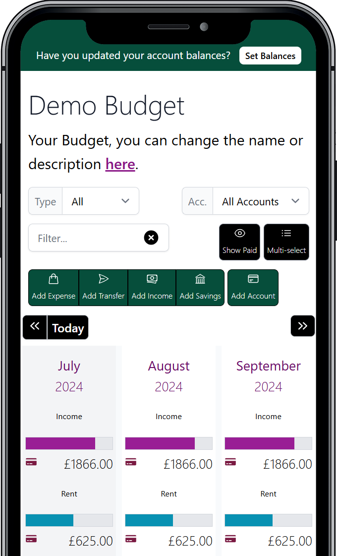 Options for getting started with Budget Pro